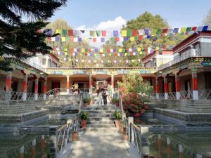 Norbulingka is an institute dedicated to the preservation of Tibetan art and culture. Here they give teachings in Thangka painting, woodcraft, working with metal and textiles. This institute is a community for people who want to dedicate to the traditional creating of buddhist art